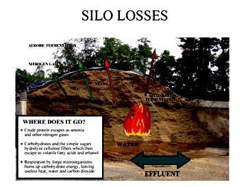 silo losses