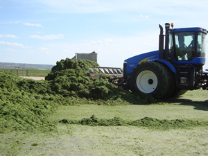 pushing haylage