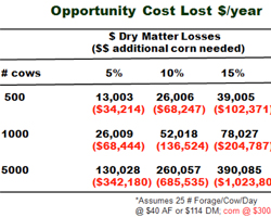 opportunity dairy